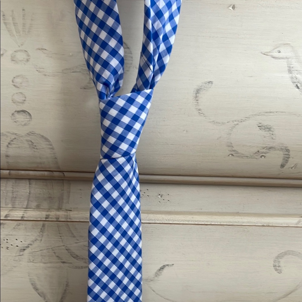 CREWCUTS TIE 52” - Blue and White Gingham - Picture 3 of 10